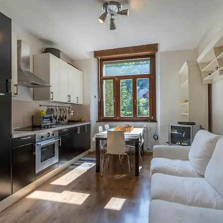 Lovely In The Julian Alps Apartment Cave del Predil